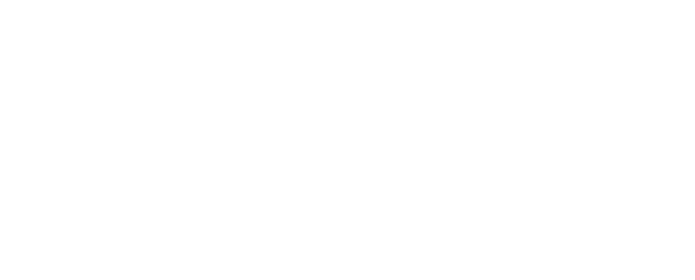 Roadmap to Success